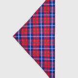 Flannel Poet Scarf Red Check Flannel